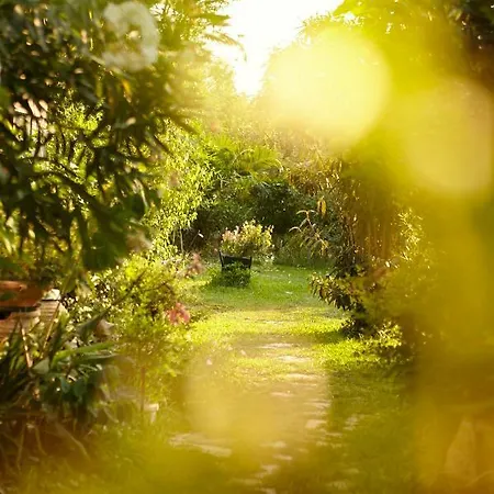 度假居 Beautiful Seafront Rustic Studio - 5 Meters From The Sea *