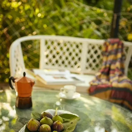 Σπίτι διακοπών Beautiful Seafront Rustic Studio - 5 Meters From The Sea Διγελιώτικα