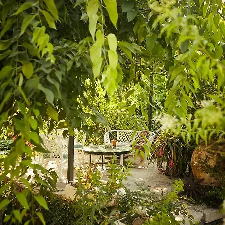 Beautiful Seafront Rustic Studio - 5 Meters From The Sea Σπίτι διακοπών *